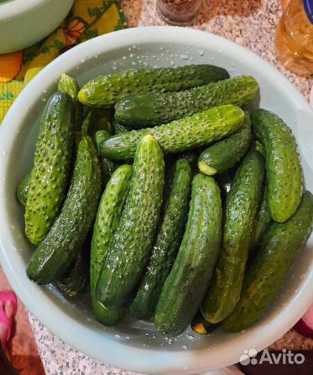 Разносолы домашние Огурцы, помидоры,лечо