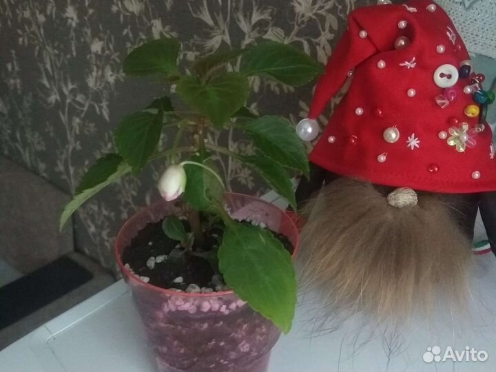 Ванька мокрый