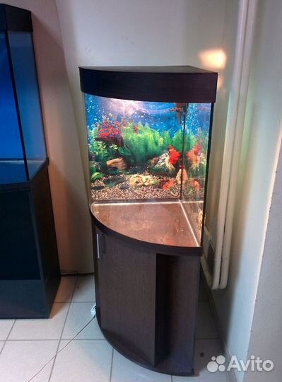Аквариум 150 угловой полукруглый, тумба, свет, фон