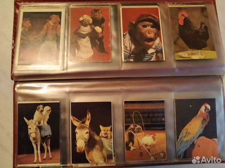 Календарики карманные коллекция 75 шт (тема-цирк)