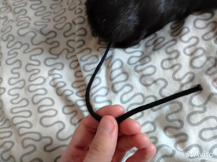 Шапка ушанка кролик