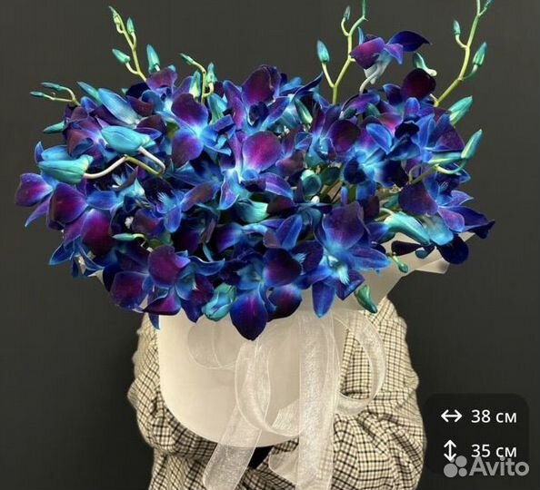 Космическая орхидея в шляпной коробке