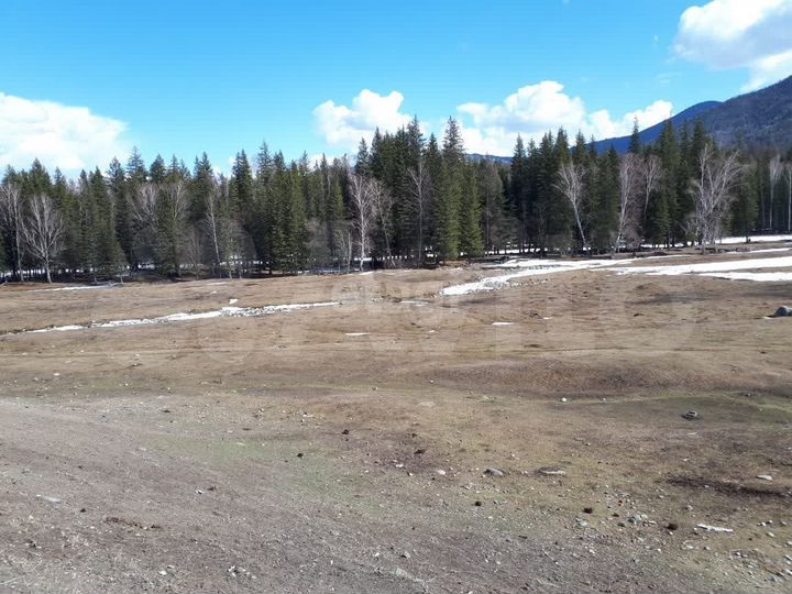 Участок 20 сот. (ИЖС)