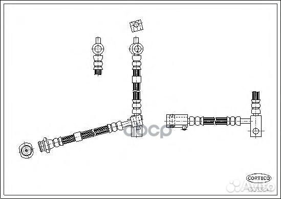 Шланг тормозной 19033544 Corteco