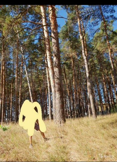 Участок 10 сот. (СНТ, ДНП)