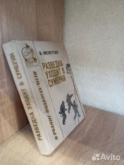 Мелентьев В. разведка уходит в сумерки