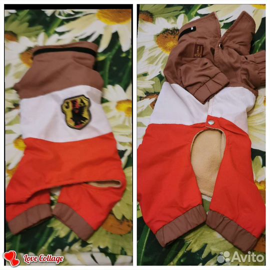 Одежда для маленьких собак