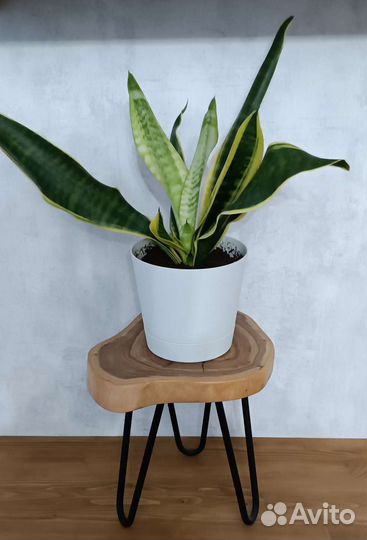 Подставка для цветов/для чего угодно