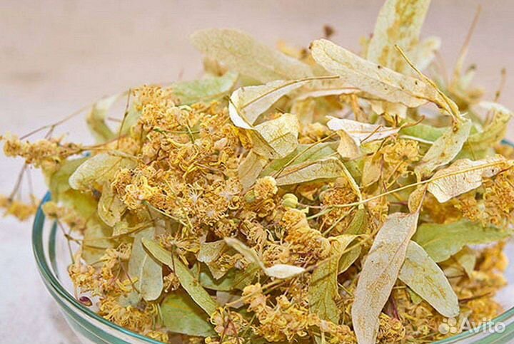 Липа, зверобой, мята