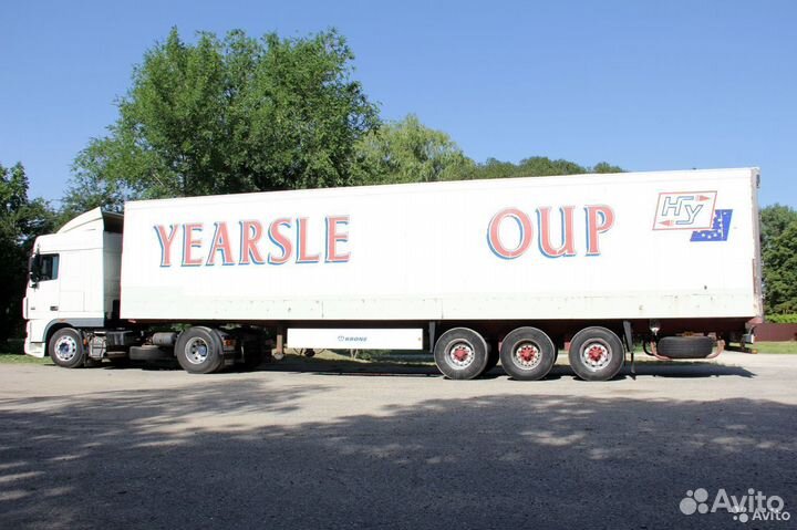 DAF XF 95.430 с полуприцепом, 2005