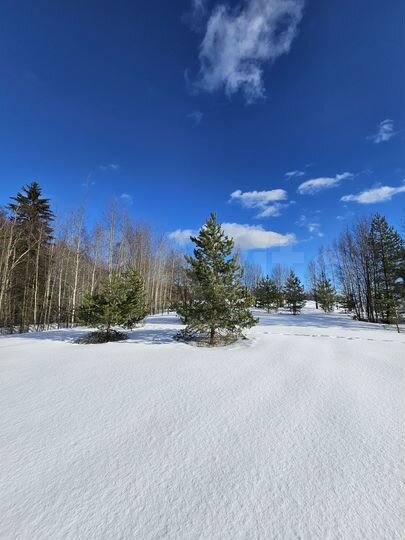 Участок 10 сот. (СНТ, ДНП)