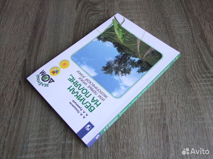 Плешаков Великан на поляне(Зеленый дом) 2021 г.(но