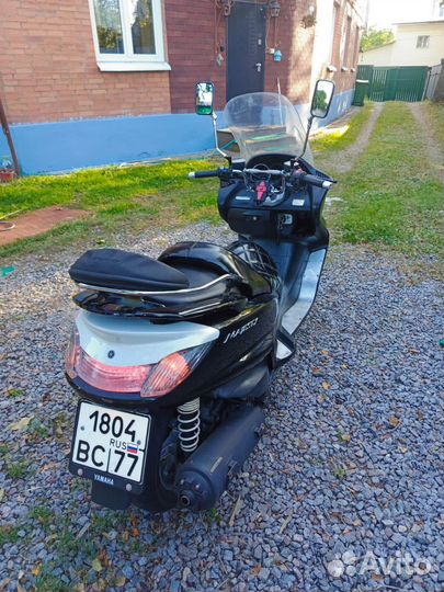 Максискутер