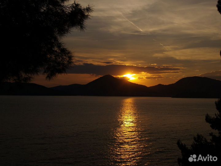 Фотоаппарат Olympus e500