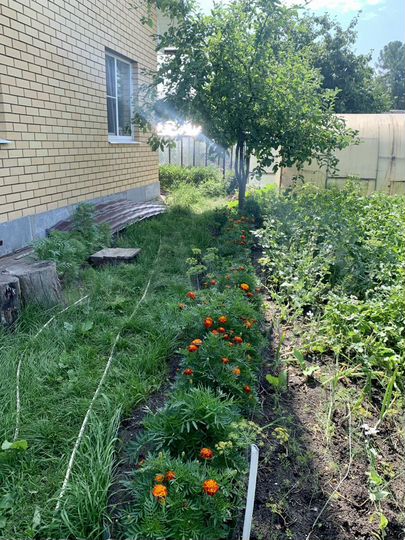 Коттедж 150 м² на участке 6 сот.