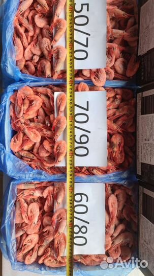 Креветка магаданская