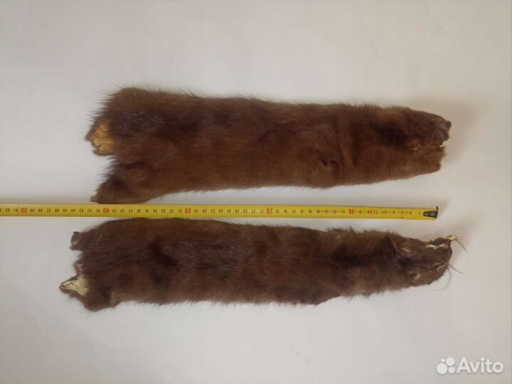Шкурки дикой норки