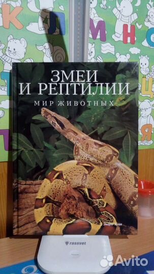 Мир животных. Белфакс