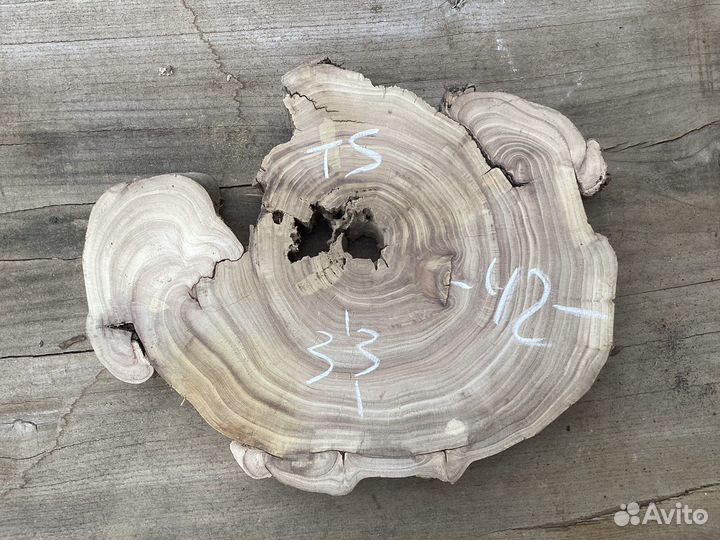 Слэбы и спилы из карагача, дуба, клена