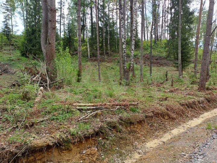 Участок 17,7 сот. (СНТ, ДНП)