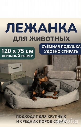 Товары для домашних животных