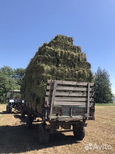 Сено в тюках цена с доставкой