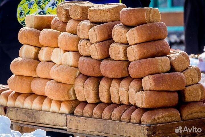 Хлеб на корм животным