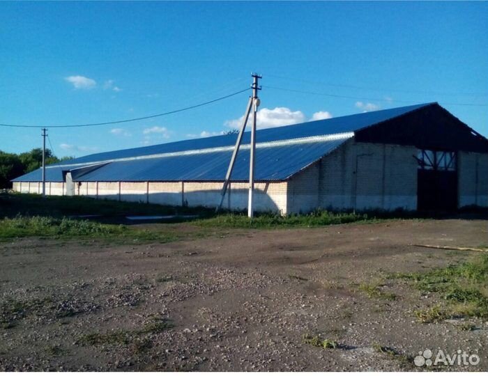 Вахта грузчики