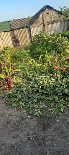 Дом 76 м² на участке 45 сот.