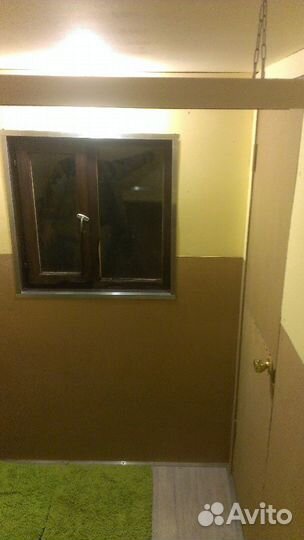 Передержка, домашняя зоогостиница