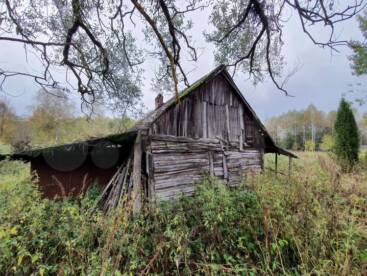 Участок 50 сот. (ИЖС)