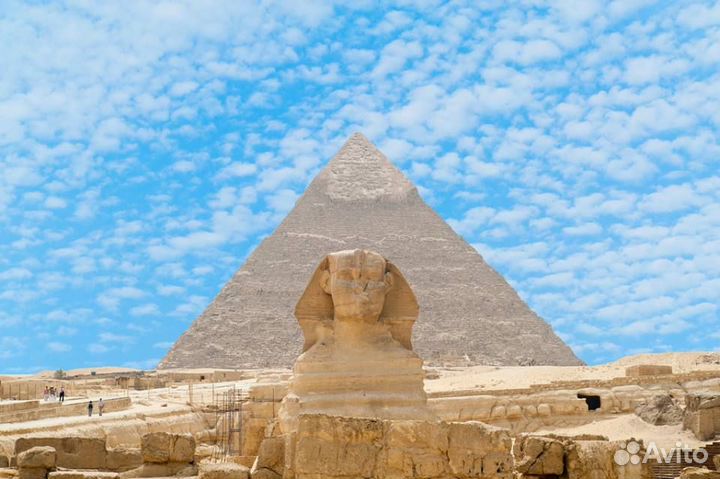 Выездные уроки в школе