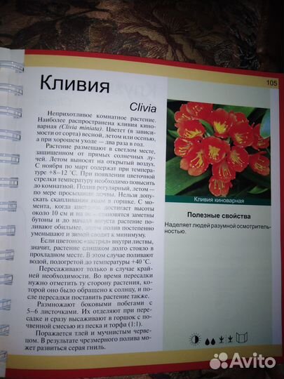 Книги про цветы