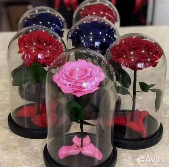 Роза в колбе. Вечная