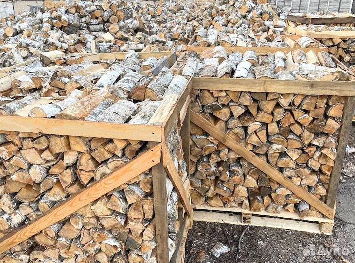 Разнообразие древесных пород для вашего отопления