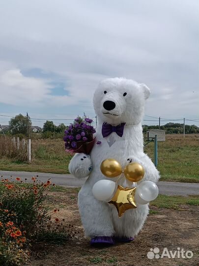 Белый мишка