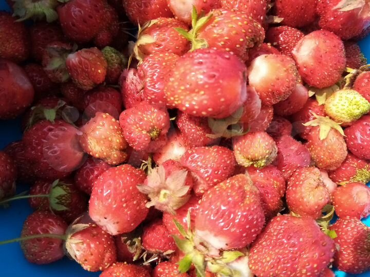 Участок 15 сот. (СНТ, ДНП)