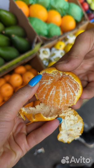 Овощи фрукты оптом с фуд сити+доставка