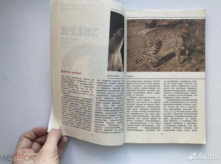 Звери Красной книги СССР, 1988 г