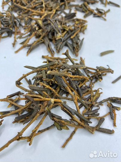 Чай Саган Дайля