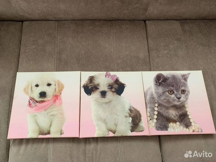 Постеры Next для детской комнаты