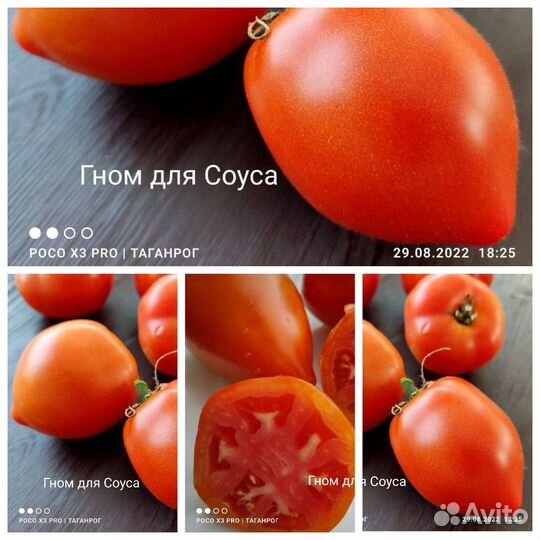 Семена сортовых томатов