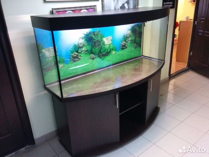 Аквариум 600л. Полукруглый, свет, биофильтр, тумба