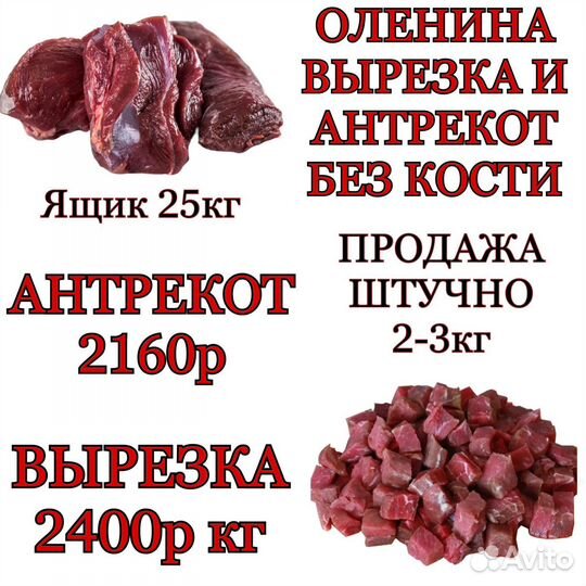 Мясо Оленина