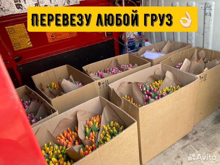 Грузоперевозки Газель Перевозки Межгород