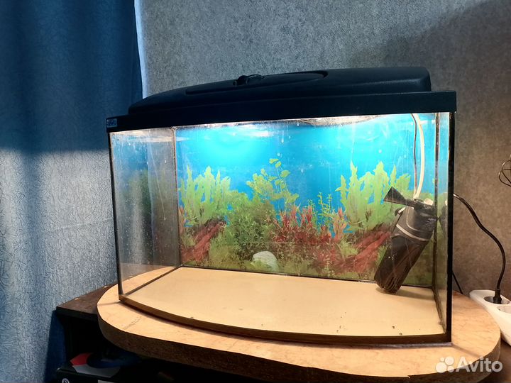 Аквариум