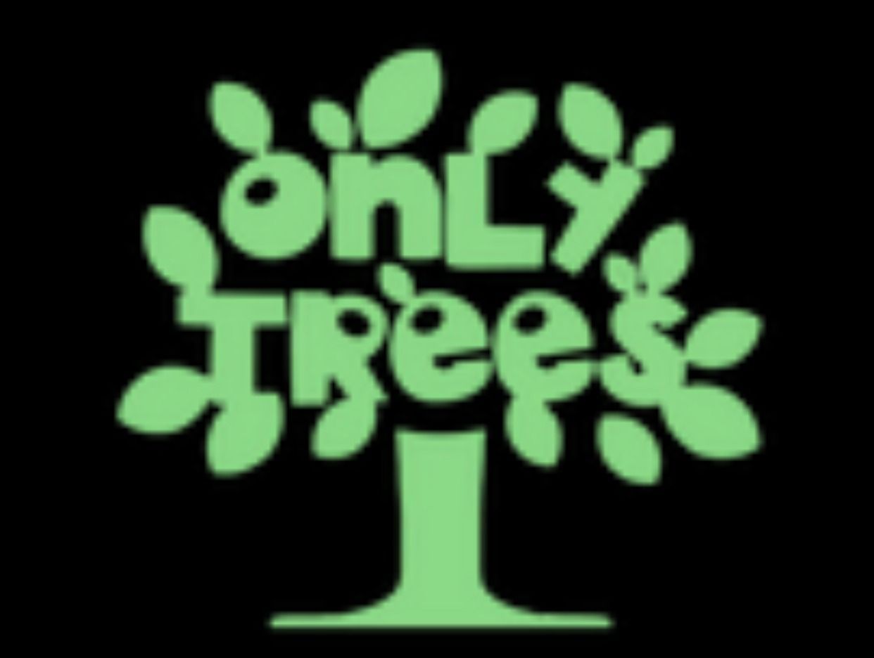 Only Trees. Профиль пользователя на Авито