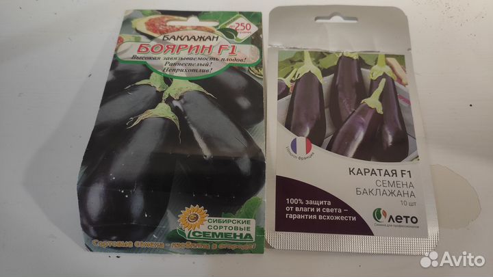 Рассада баклажан