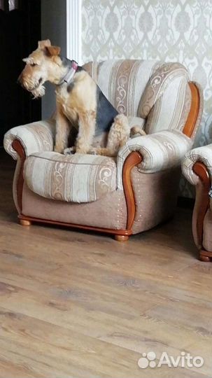 Перетяжка и ремонт мебели