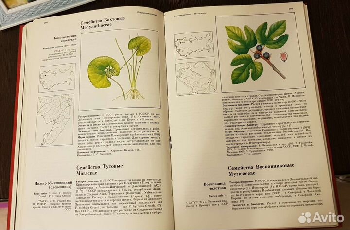 Красная Книга РСФСР растения